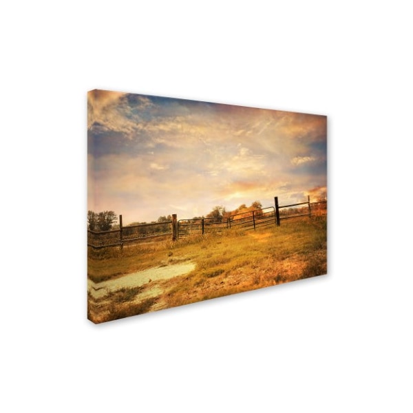 Jai Johnson 'Place Of Peace' Canvas Art,14x19